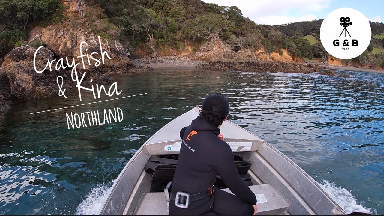 Crayfish & Kina Dive | Northland