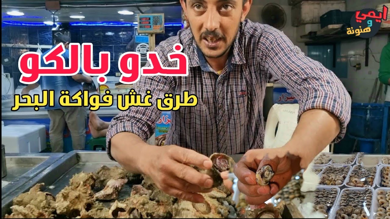 حذاري يا جماعة من طرق غش محار البحر 🐚 يكشفها لنا احمد سيريديا ملك الماكولات البحرية بالسويس