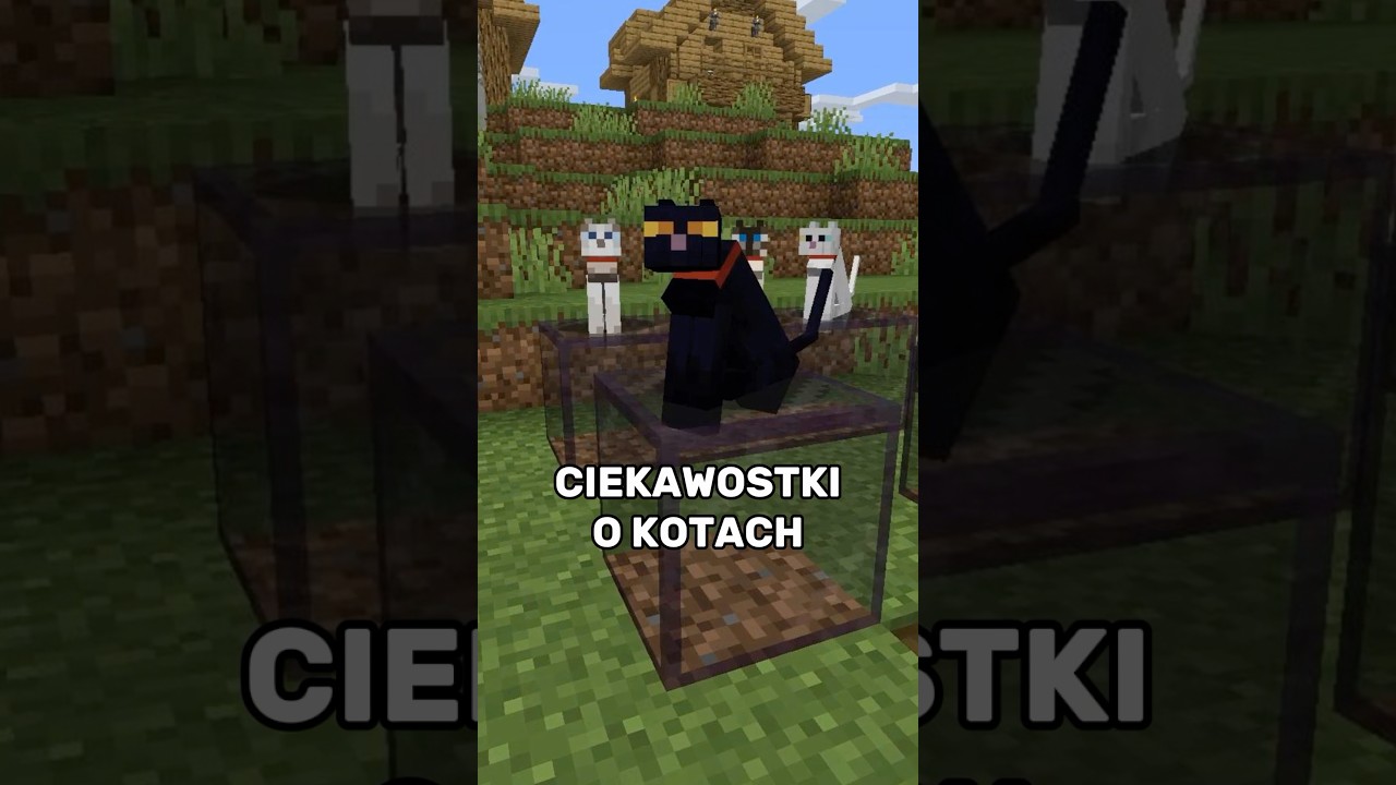Ciekawostki o KOTACH - porady Minecraft #minecraft