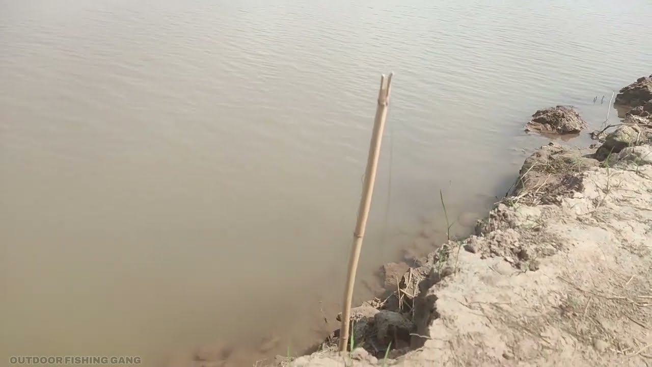 Head Marala Fishing Sialkot