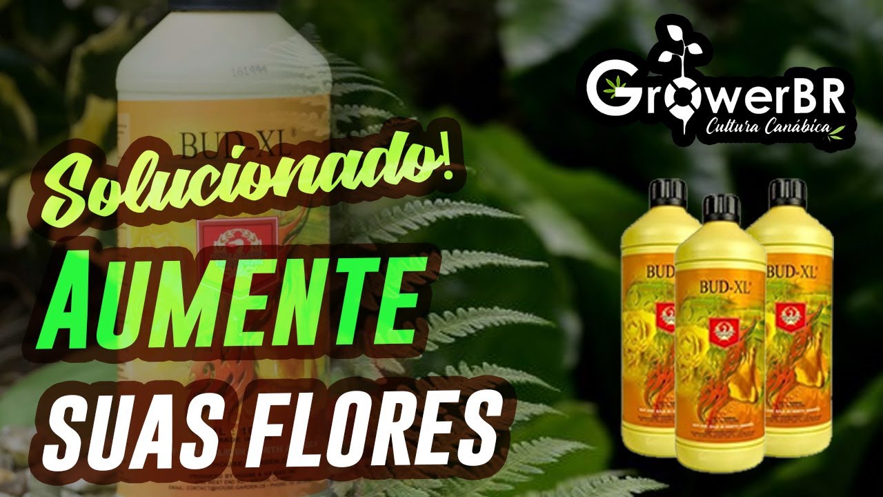 Solu&ccedil;&atilde;o para ter sua flor forte e grande! Conhe&ccedil;a o BUD XL da House & Garden CUPOM10%OFF GROW POWER