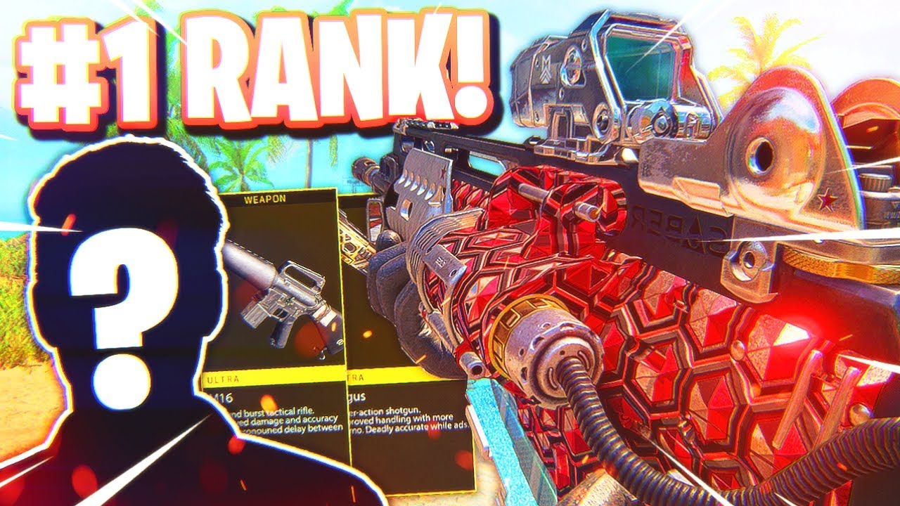 I Played with the #1 Black Ops 4 Player, and this happened..