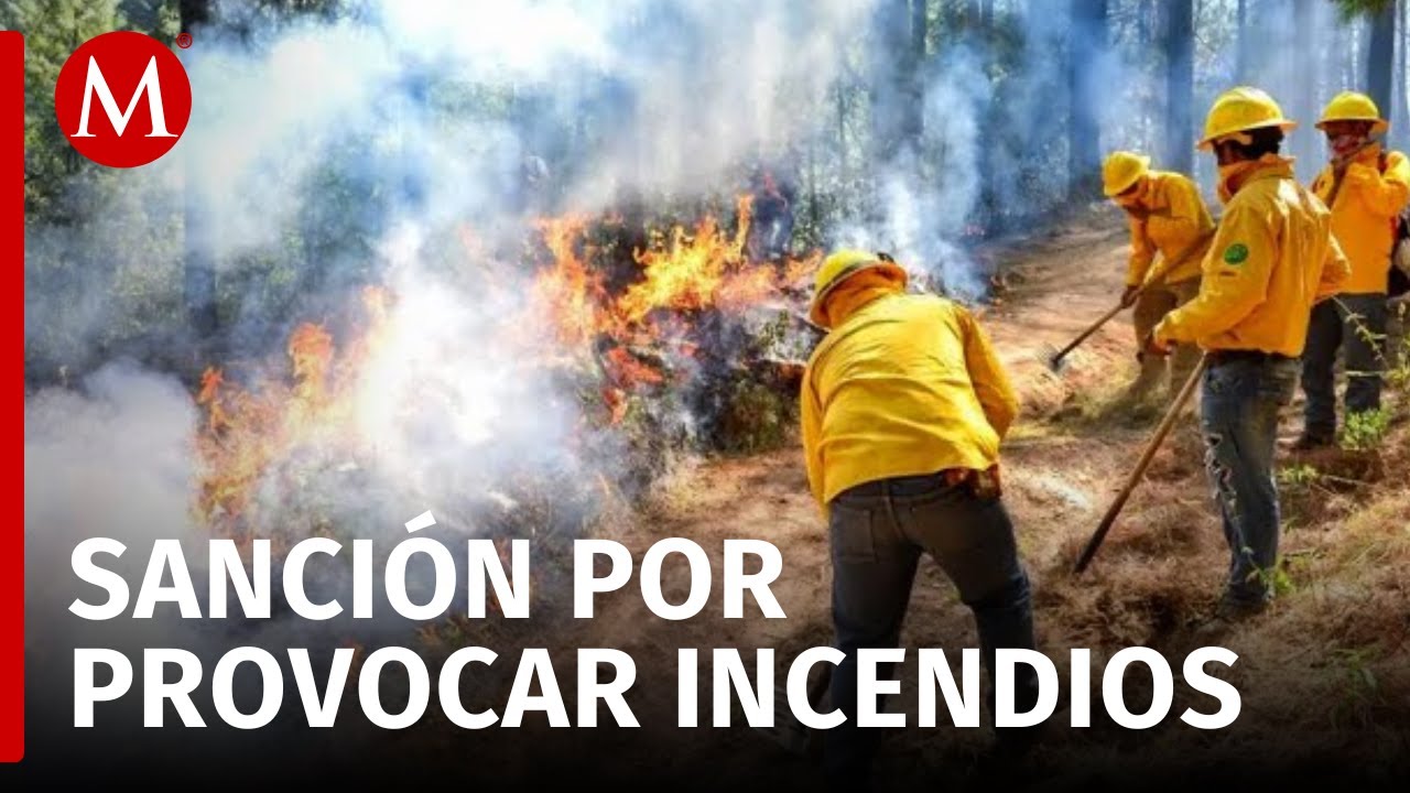 Hasta 10 a&ntilde;os por provocar incendios, Edomex advierte sanciones