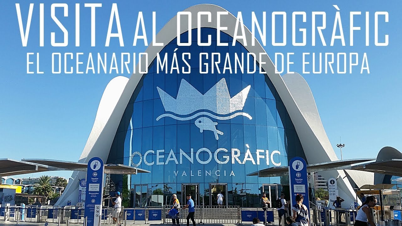 REVIEW: Sobre mi visita a L'Oceanogràfic (El acuario más grande de Europa)