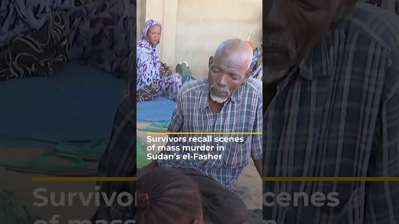 Survivors recall scenes of mass murder in Sudan&rsquo;s el-Fasher | AJ #shorts