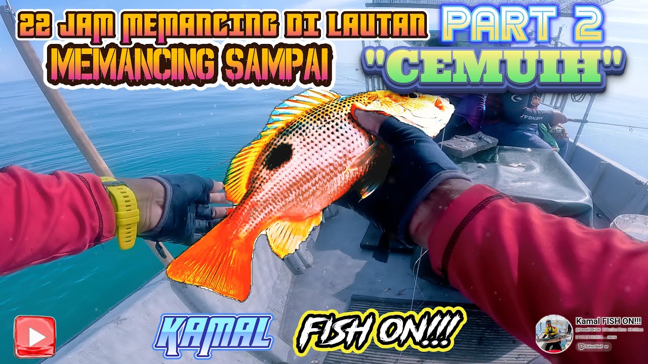 MEMANCING SAMPAI 