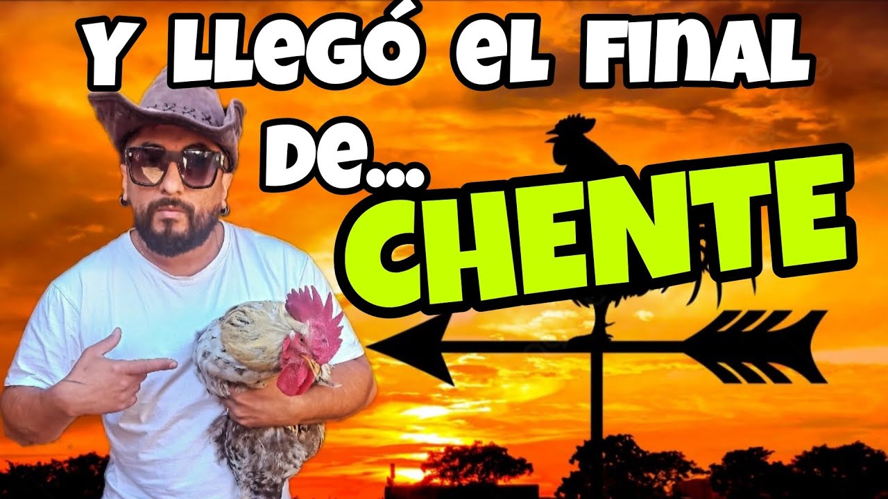 Cada dos años renovamos gallo en nuestro canal y esta vez se va 