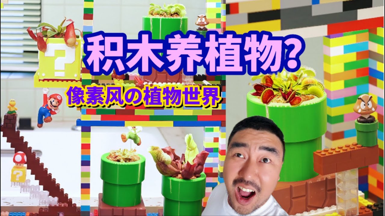 孩子看完就哭了！用闲置积木打造像素风植物角！