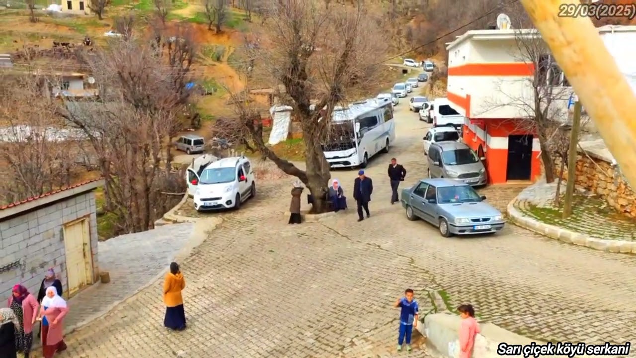 Bitlis Mutki sarıçiçek köyü tasiyesi 31 Mart 2025