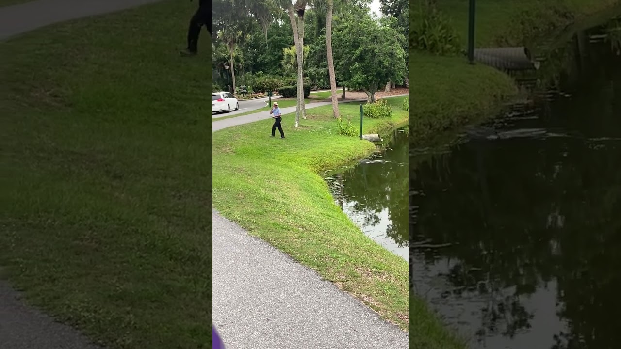 Caught on camera: Alligator charges at fisherman
