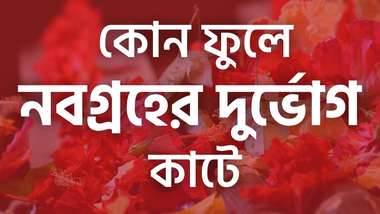 কোন ফুলে নবগ্রহের দুর্ভোগ কাটে | Sibsankar Bharati | Shani Dev | Navagraha