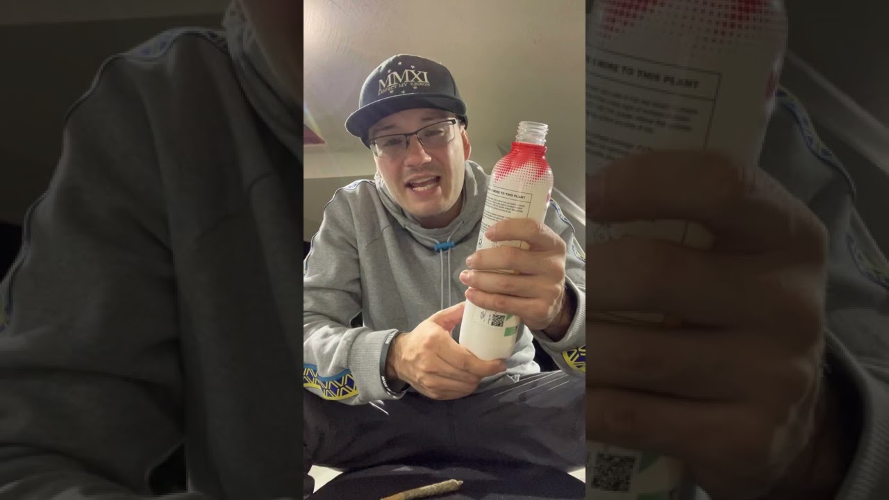 Wildside Mango Tropical Storm CBD Cannabis Sparkling Juice Ft Green Revolution at Kush 21 in Spokane