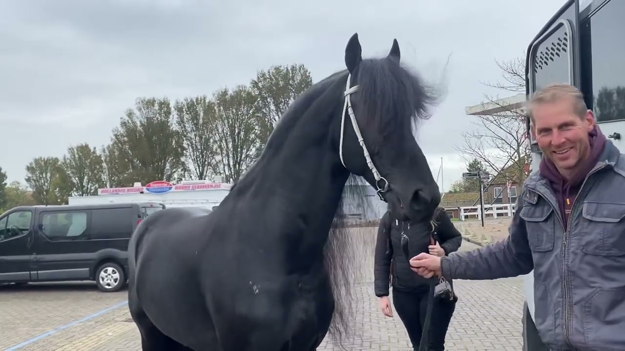 Friesian Horse Kalender - Elfsteden editie Markus 491 in Stavoren