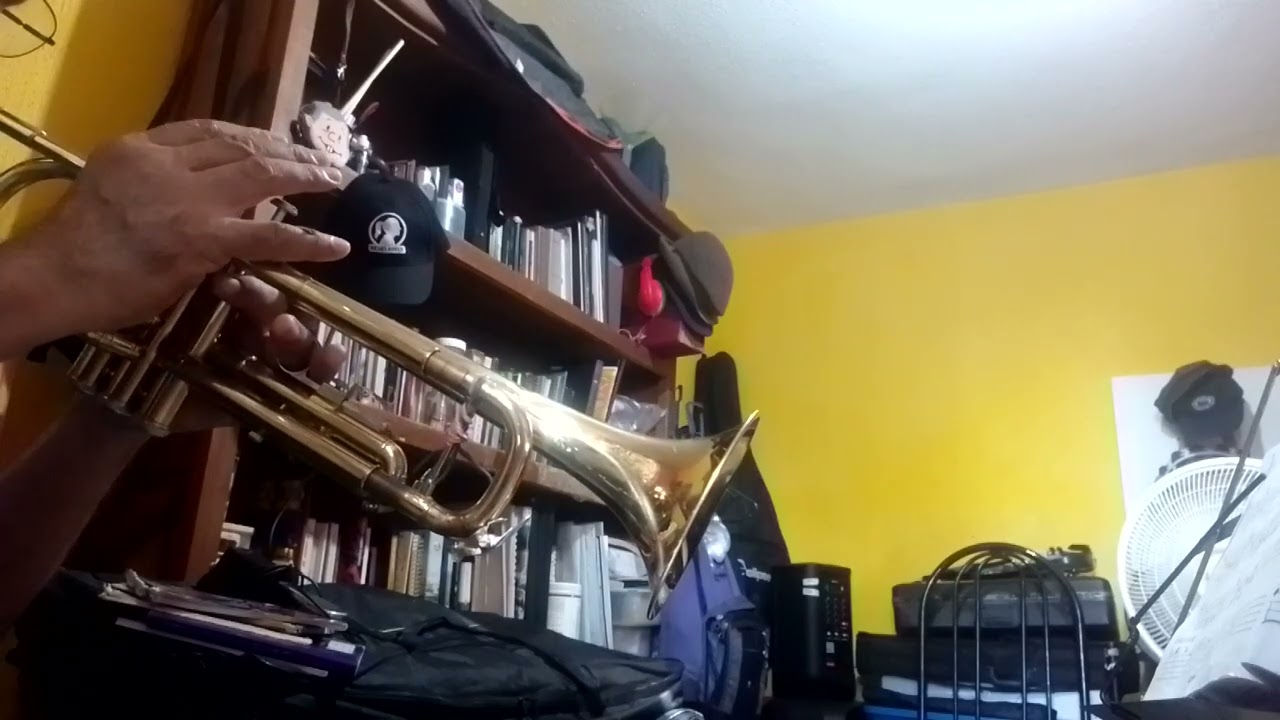 J.W. Canción 151 (2 de febrero de 2026. Mes 7 ) 