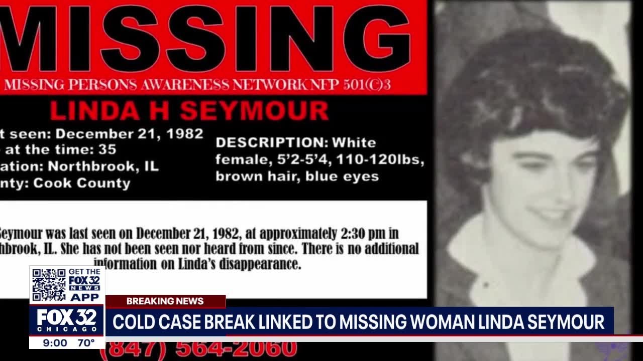 Police in Northbrook, Illinois search backyard in connection with missing woman Linda Seymour who va