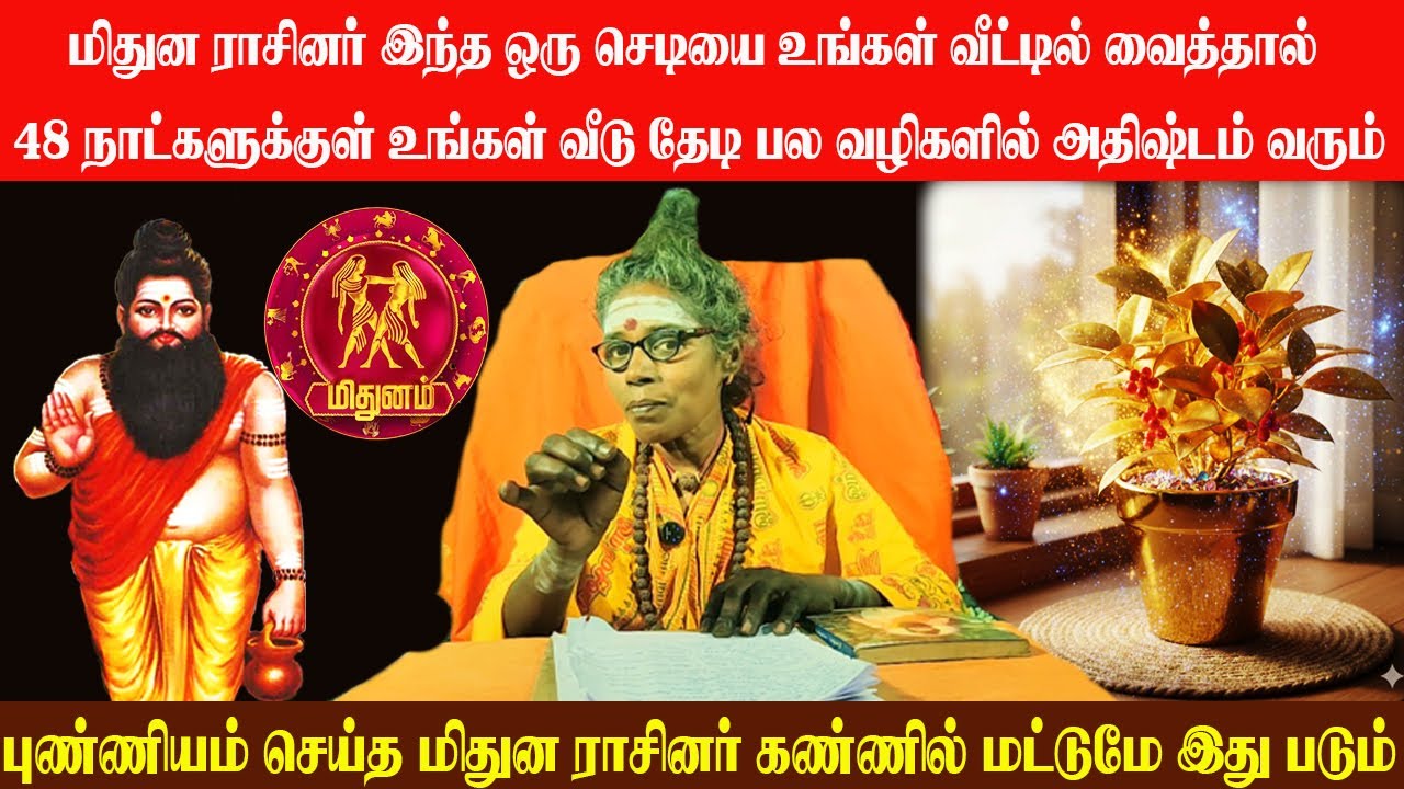 மிதுன ராசினர் இந்த செடியை உங்கள் வீட்டில் வைத்தால் 48 நாட்களுக்குள் உங்கள் வீடு தேடி அதிஷ்டம் வரும்