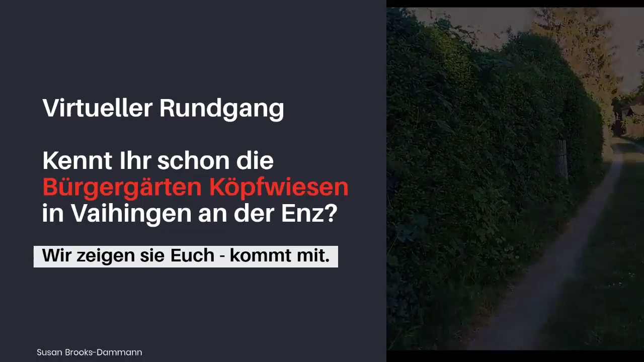 Vaihingen an der Enz - Virtueller Rundgang 2020