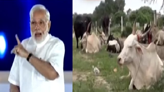 Politics Starts after PM Modi Slammed Gau Rakshaks' at Townhall Meet