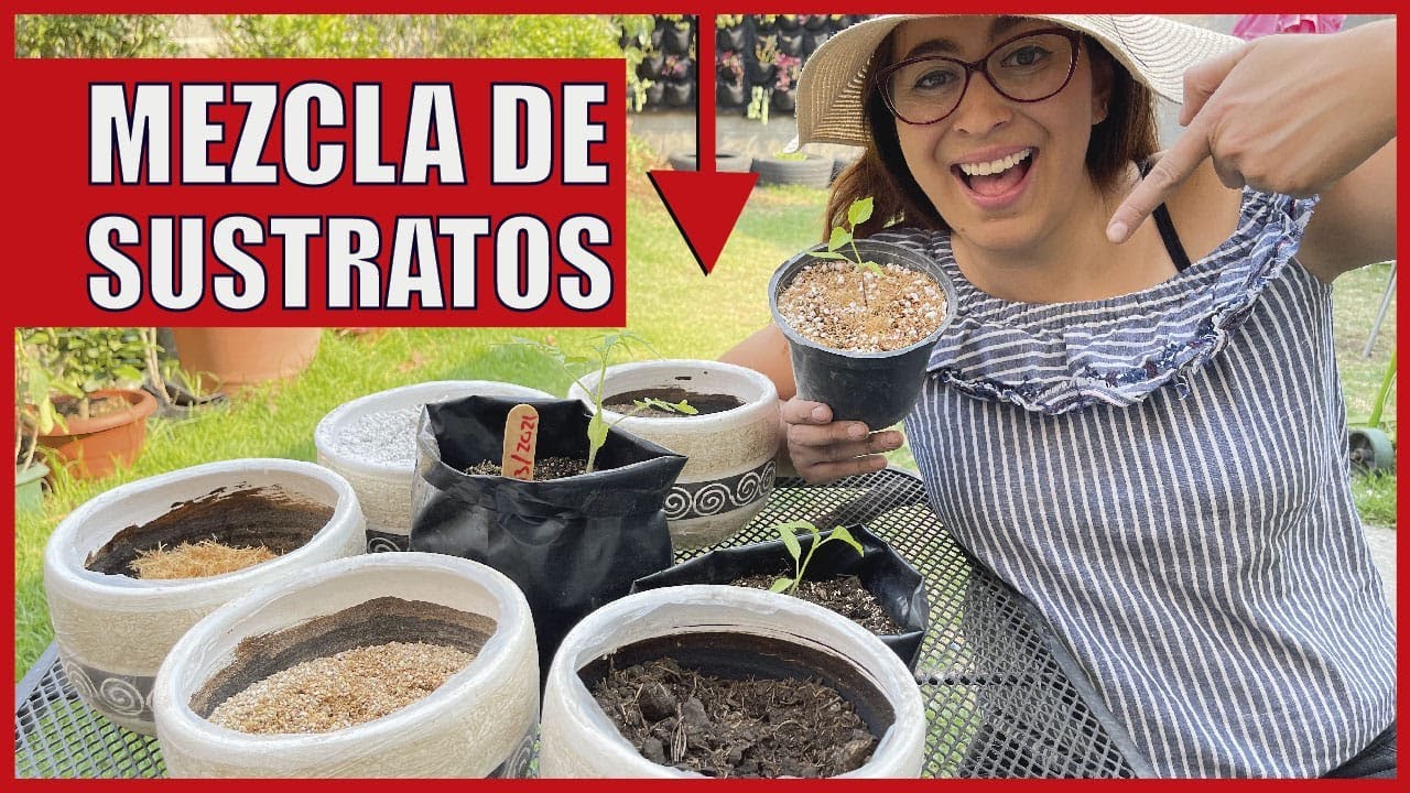 5 MEZCLAS de SUSTRATOS para tu huerto 🍎 (Hortalizas y Germinación)🌱