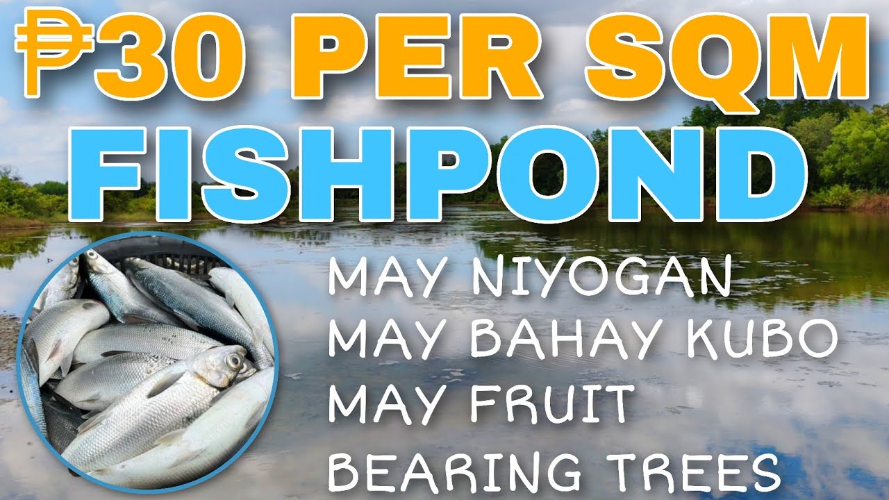 #075 FARM LOT FOR SALE | NAPAKA MURA AT NAPAKA GANDA NG SET UP NG PROPERTY NATO