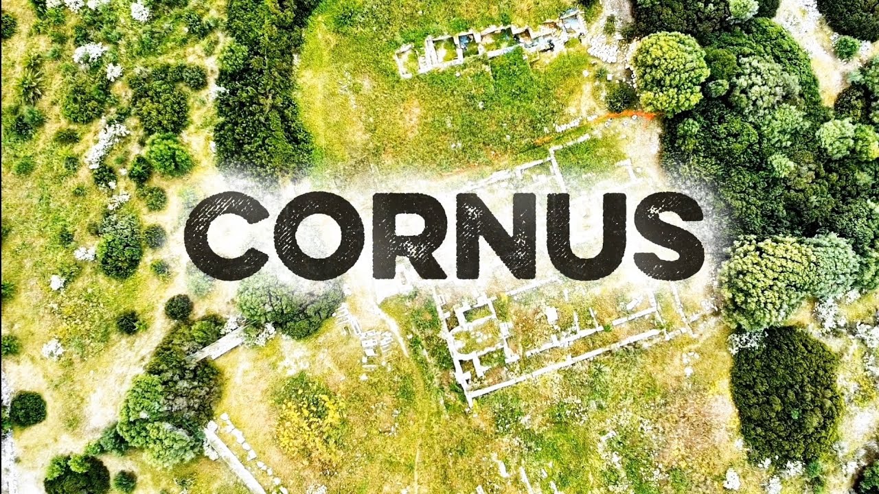 Cornus - Cuglieri