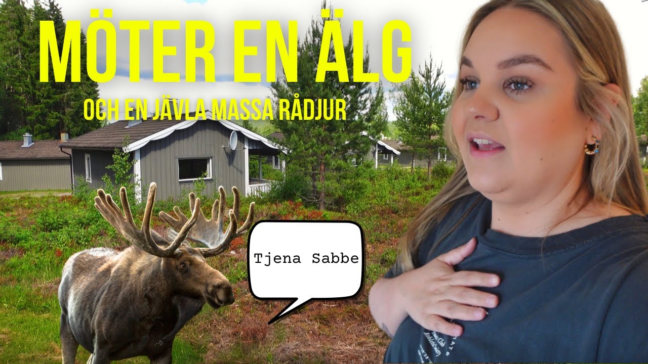 VLOGG 132 | BOR I STUGA I VÄRMLAND 🏡