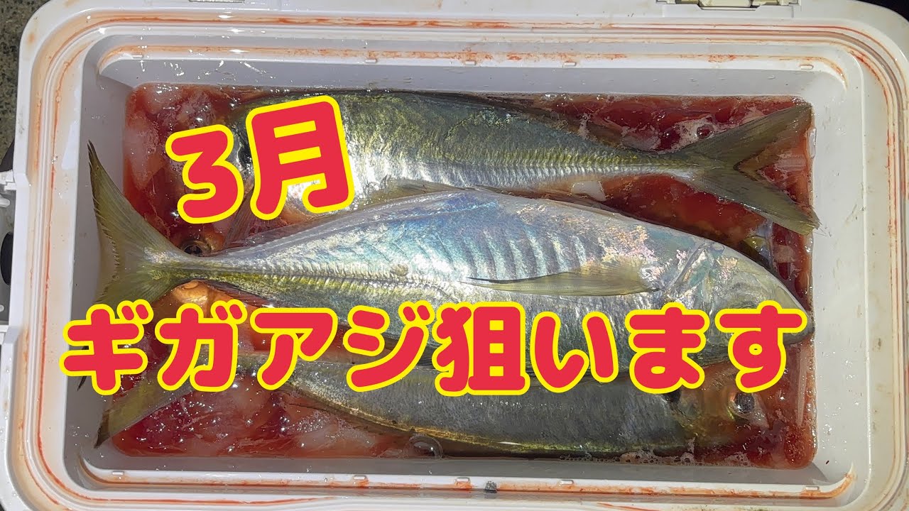 3月★ギガアジ狙ってきました