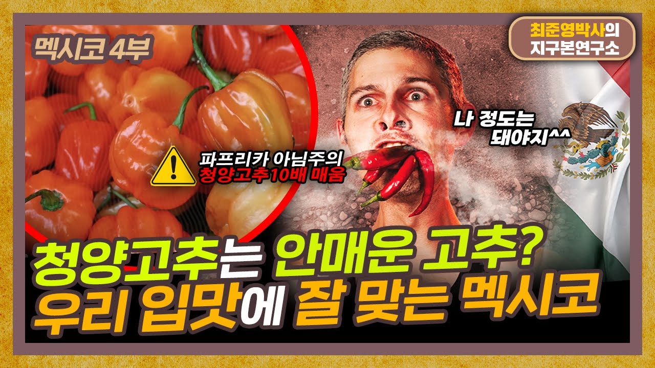 한국인이 멕시코 음식을 좋아하는 이유 [멕시코 4부]