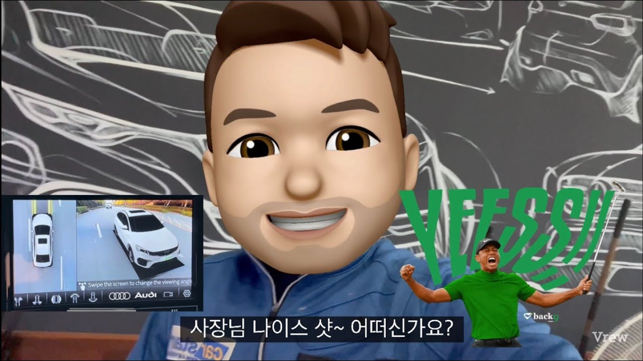 3D 어라운드뷰 나이스뷰 제품소개 (고화질 리얼 입체뷰 자동차 360도 사각지대 모니터링/PAS/BSA/측후방 사이드뷰 카메라/서라운드뷰/순정/옴니뷰/스카이뷰/에스뷰/카존 시공)