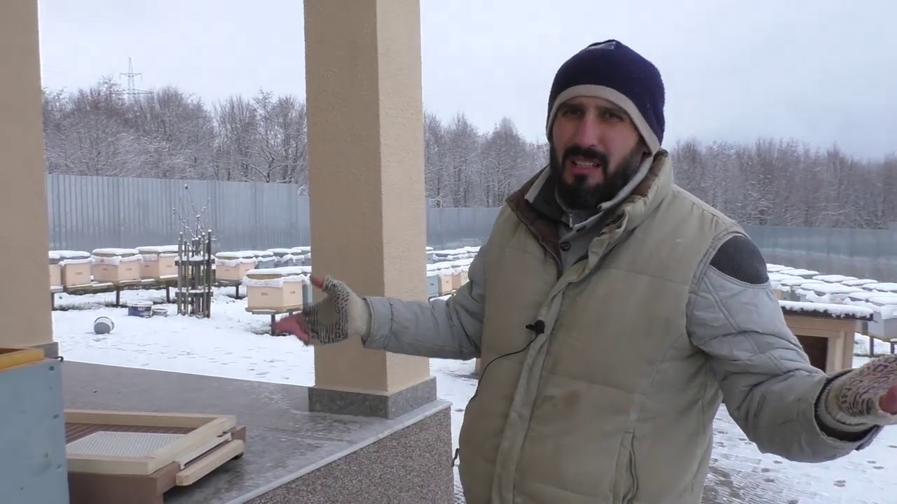 Турецкое дно с пыльцесборником для нашего восмирамочника 29.11.2020