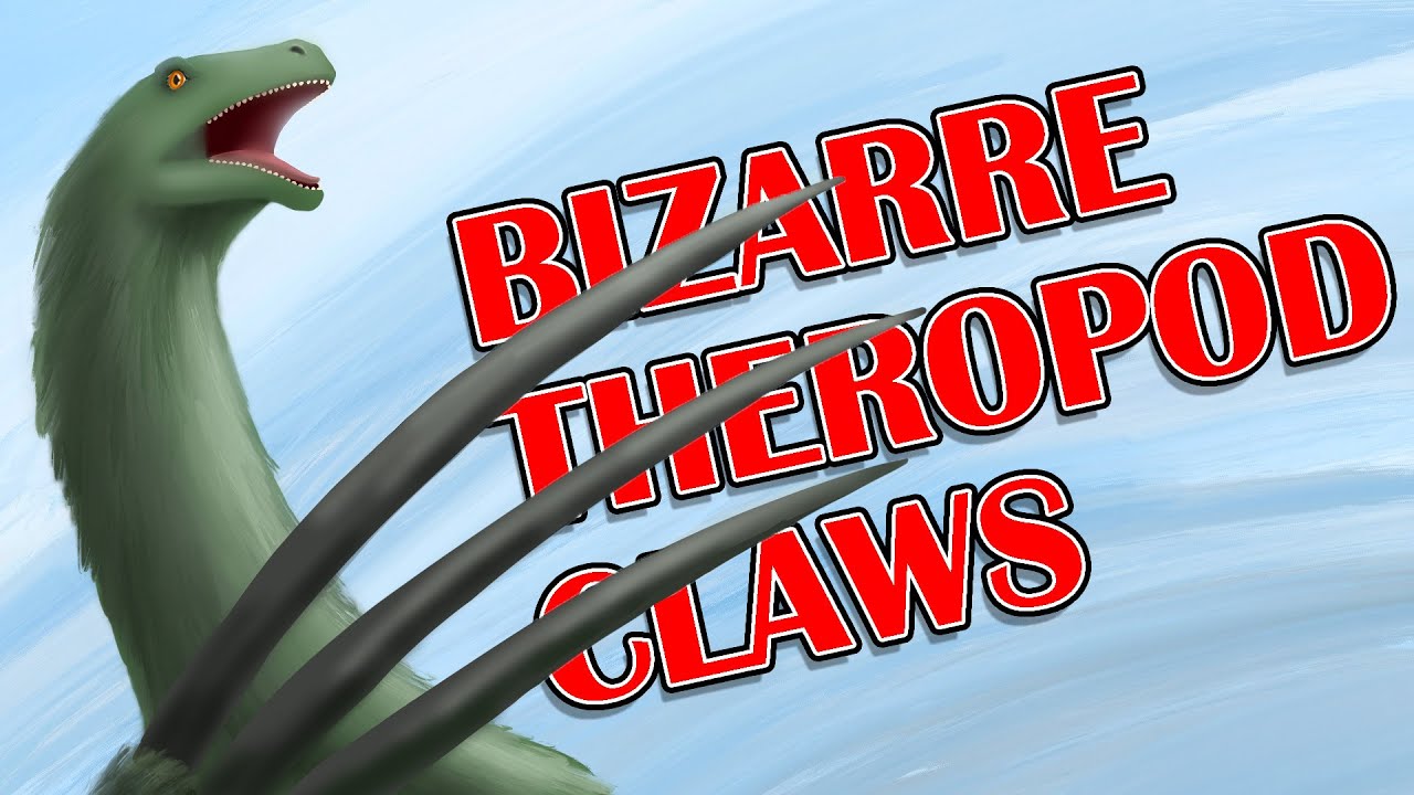 Therizinosaurs and Alverezsaurs: the Strangest Dinosaur Claws.