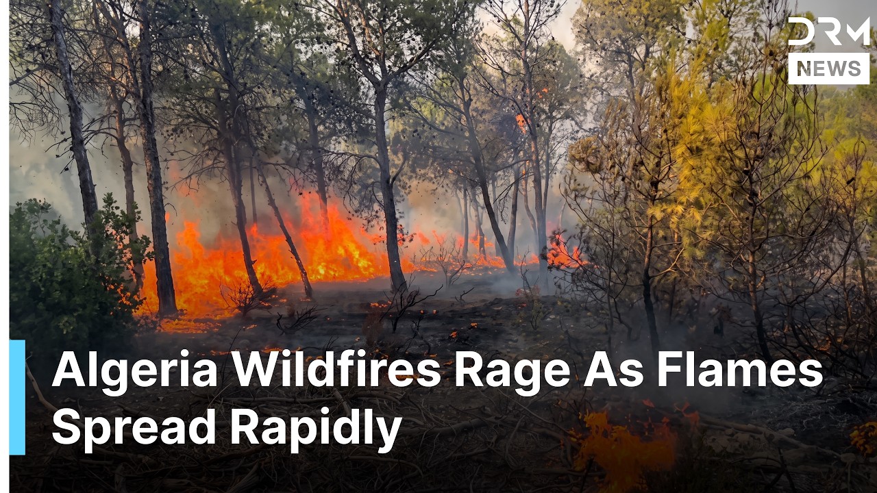 Massive Wildfire Erupts In Algeria As Crews Race To Contain Flames | DRM News | AP14