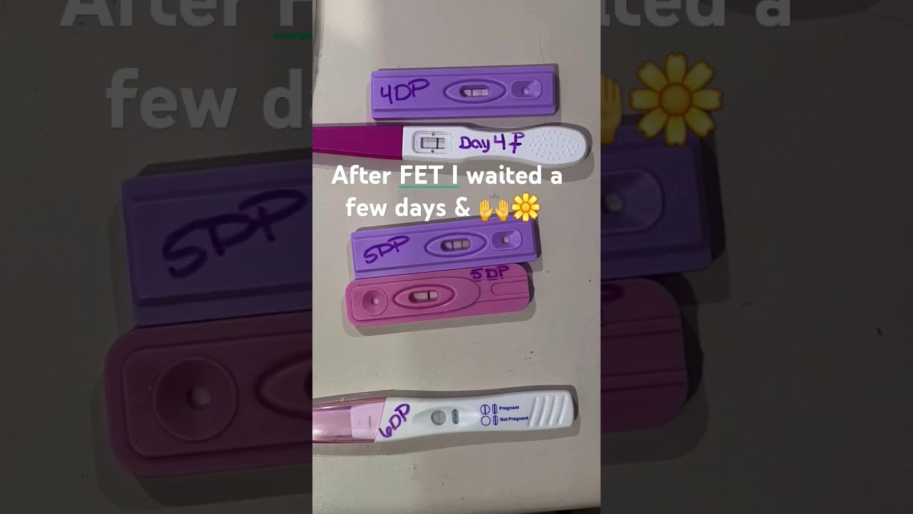 After FET home pregnancy tests. ✨️        