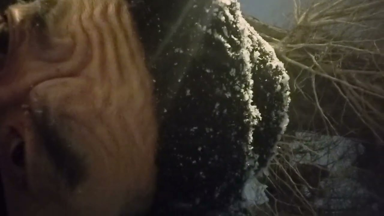 春日部ちゃん雪の朝大門神社ゆ。
