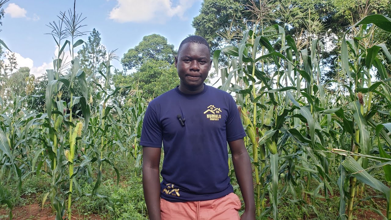 Cost of Land in Northern Uganda - Process of Acquiring Land in Northern Uganda