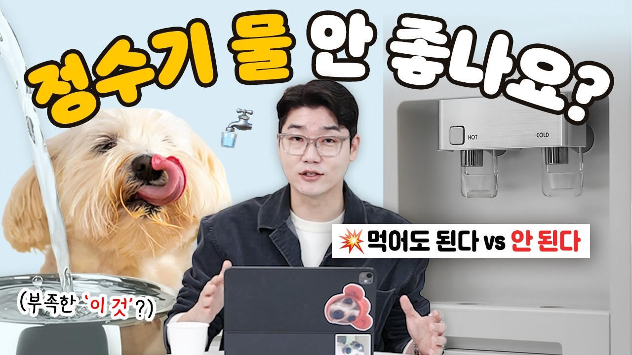 정수기 물이 강아지한테 안 좋다는데 😱 정말 그럴까? (+ 관리법 ✨) | 설채현 행동학 수의사