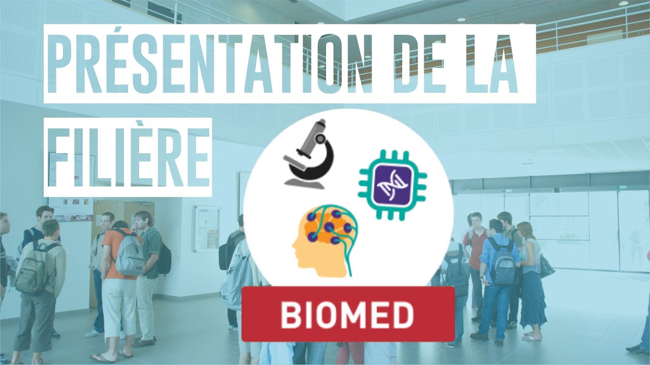 La filière Biomedical engineering (BIOMED)