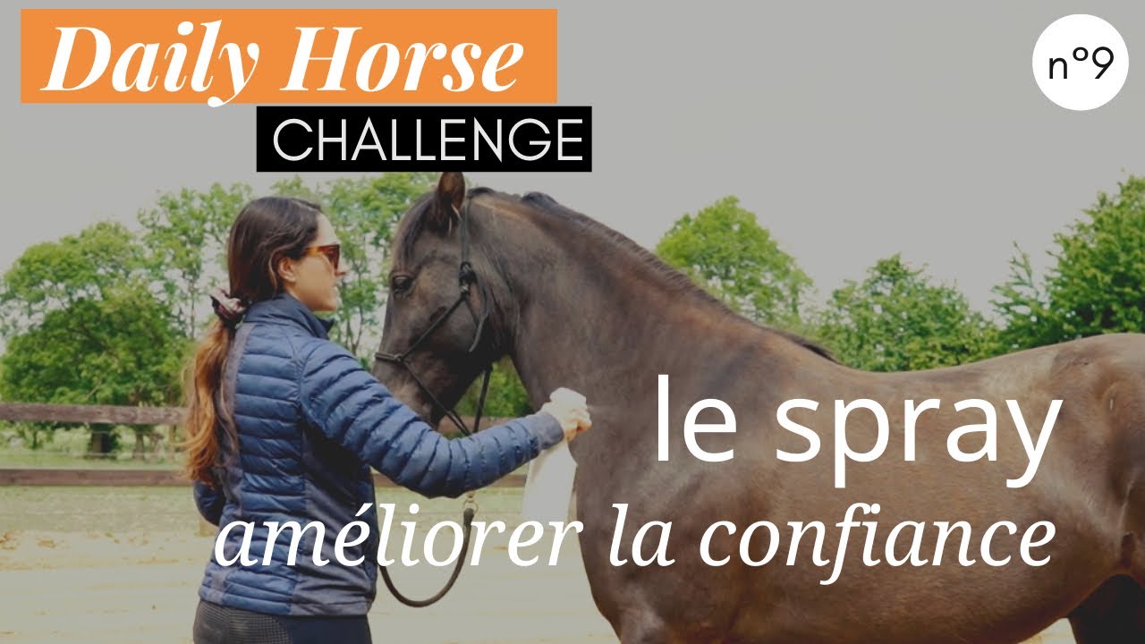 HABITUEZ  FACILEMENT VOTRE CHEVAL AU SPRAY !