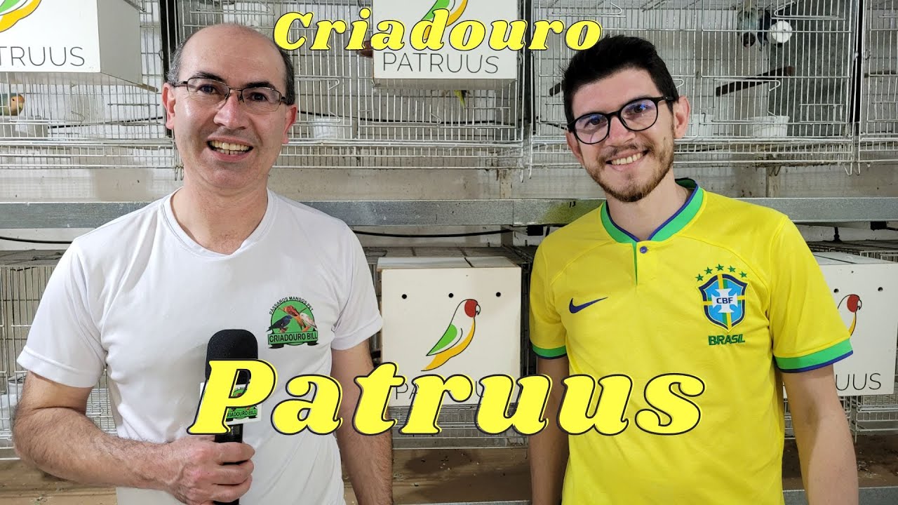 Criador de Agapornis Roseicollis Pena Longa!!!