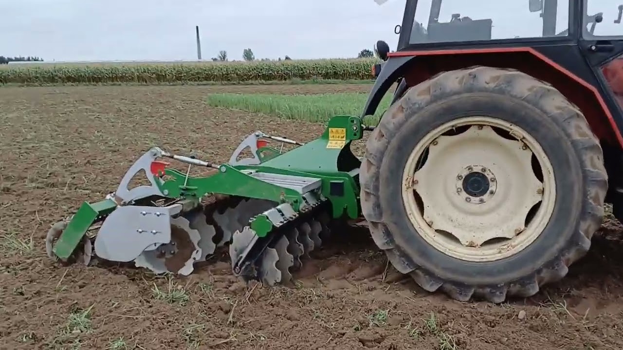 Talerzowanie poplonu Zetorem 7745