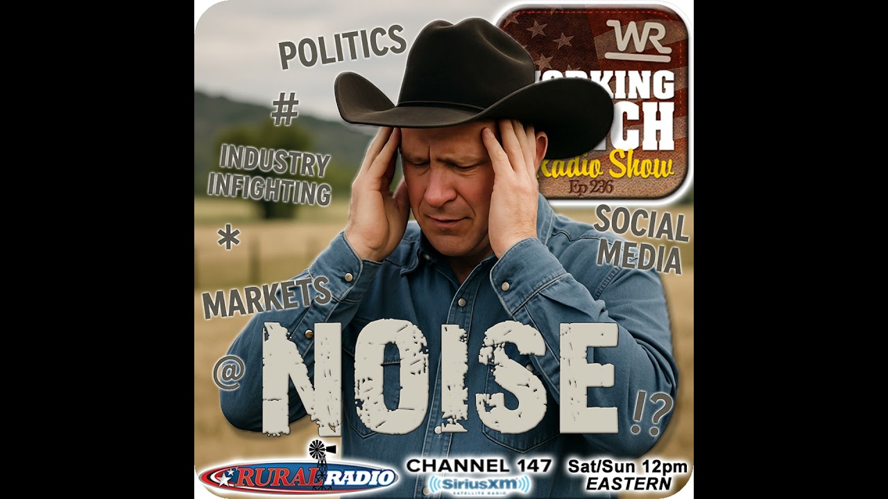 Ep 236: Cutting Through the Noise w/ Allan Crockett
