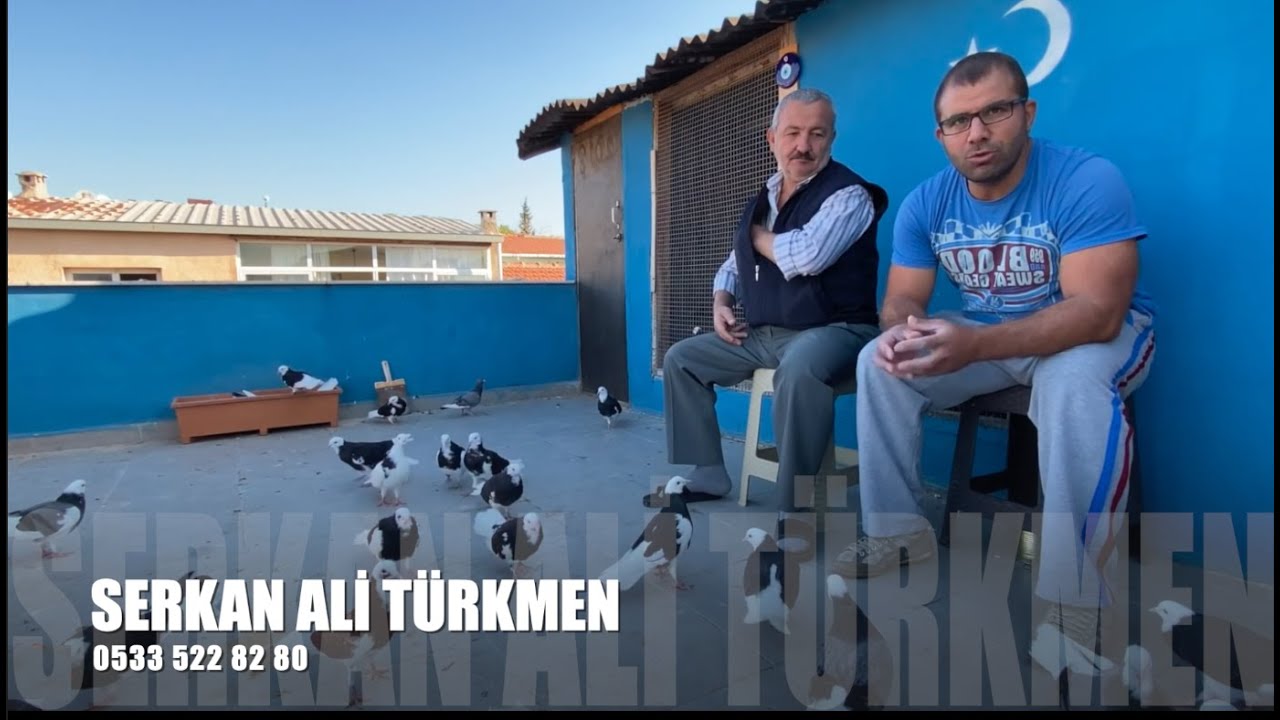 Dönek Güvercin Sohbeti Serkan Ali Türkmen (Gözlükçü)