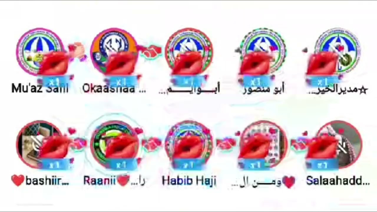 Walaloo kutaa 29faa   yaa baredinaa walaloo tanaa masha Allah kotaa caqasa