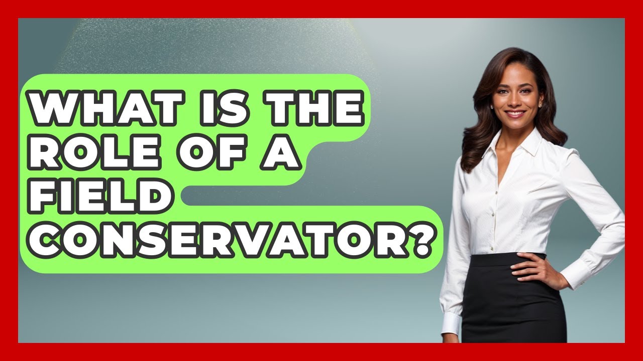 What Is The Role Of A Field Conservator? - Archaeology Quest