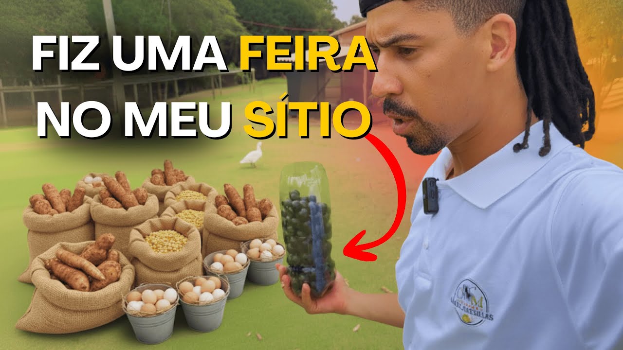 DIA DE COLHER NO S&Iacute;TIO