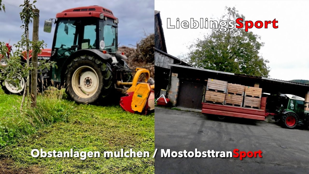 Obstbau FarmVlog#53 Mostobst fahren, mulchen