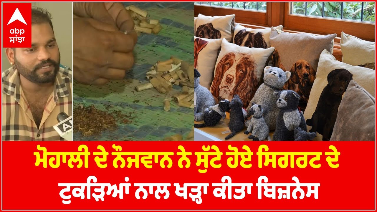Mohali-based entrepreneur recycles cigarette butts into toys, cushions | Punjabi News | Abp Sanjha