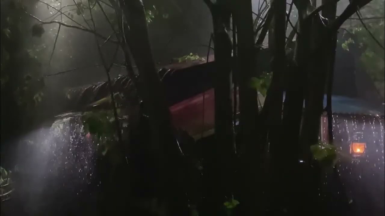 เสียงฝนตก นอนหลับสบาย ผ่อนคลายสมอง | Rain Sounds | Relaxation| Meditation