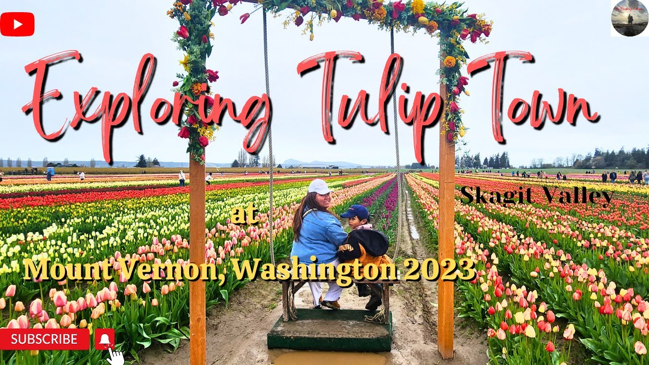 Tulip Town at Skagit Valley ( seattle area ) #seattle