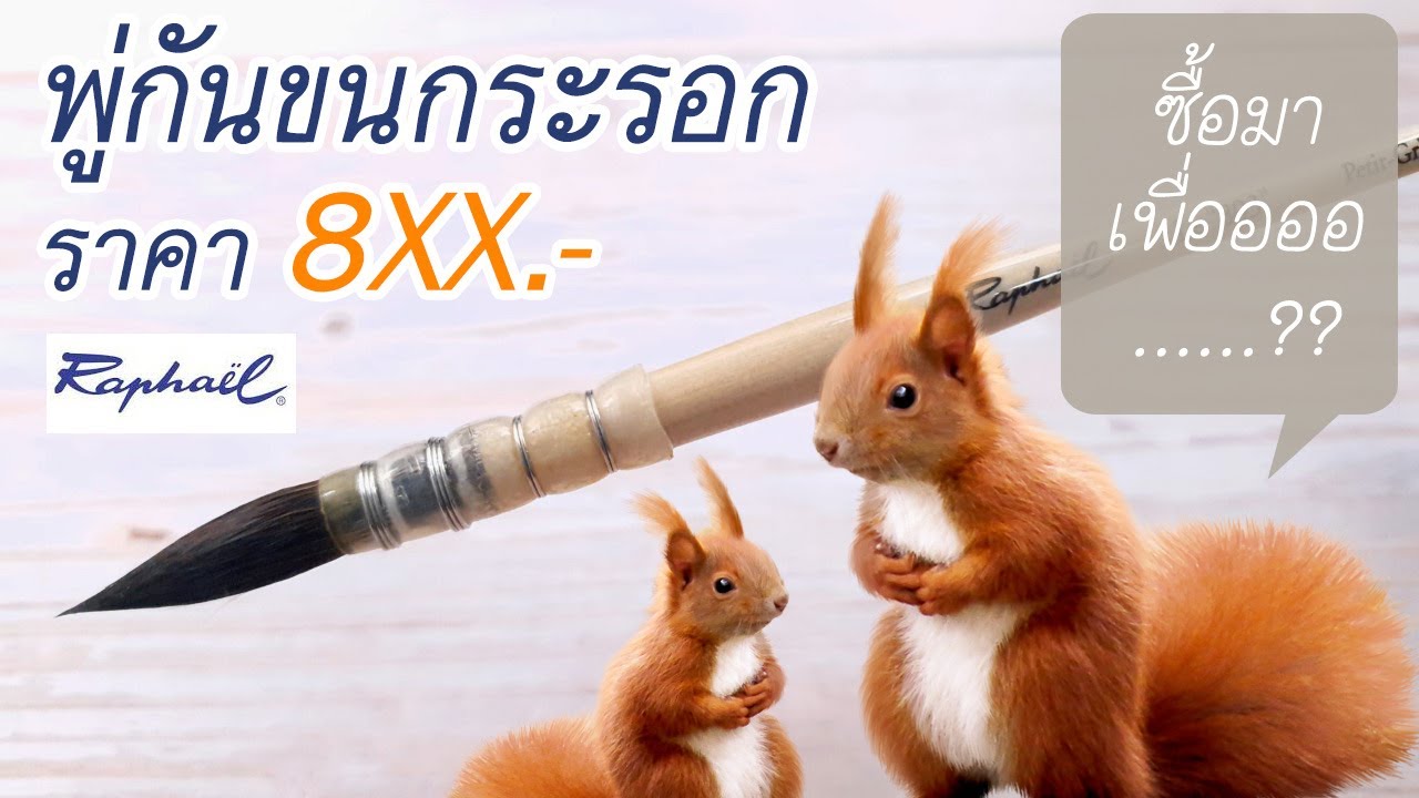 unbox พู่กันแพงๆ...พู่กันไม่แพง ไม่มีแรงรีวิว ( พู่กันมัดลวด ขนกระรอก ราฟาเอล ) - Raphael mob brush